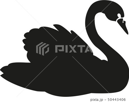 swan_real_details.eps 50443406