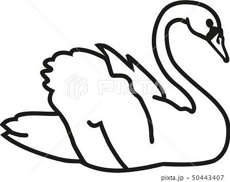 swan_real_ol.eps 50443407
