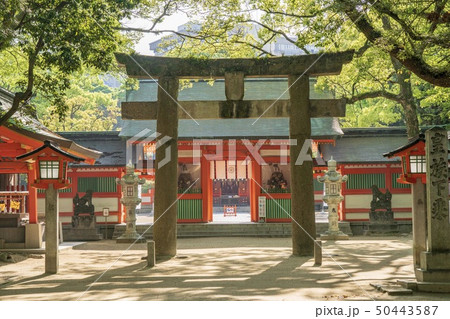 住吉神社 (福岡市) 50443587