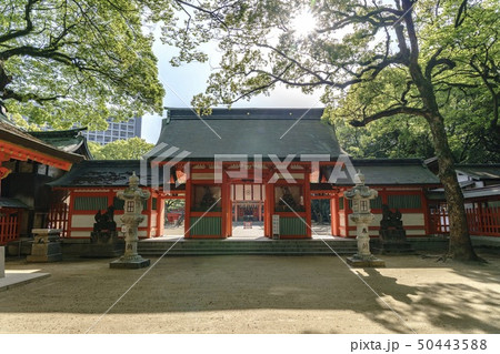 住吉神社 (福岡市) 50443588