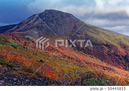 日の出平付近から見る紅葉の那須・茶臼岳 50443835