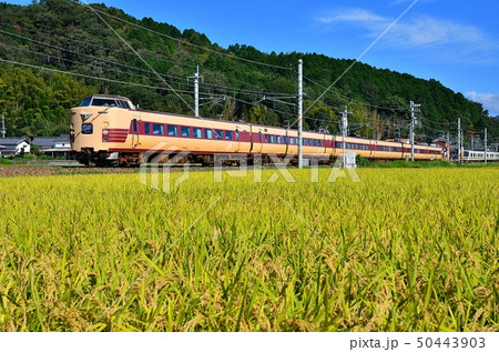 鉄道 列車 山陰本線 京都口 381系 特急 千代川 八木 JR西日本 嵯峨野線 きのさき 国鉄 鉄道 列車 山陰本線 京都口 381系 特急 千代川 八木 JR西日本 嵯峨野線 きのさき 国鉄 50443903