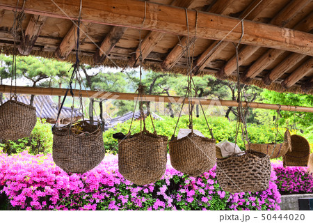 韓屋村 南山 伝統 50444020