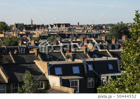ロンドンの風景　～屋根の上のチムニーポット（煙突）ー～ 50444552