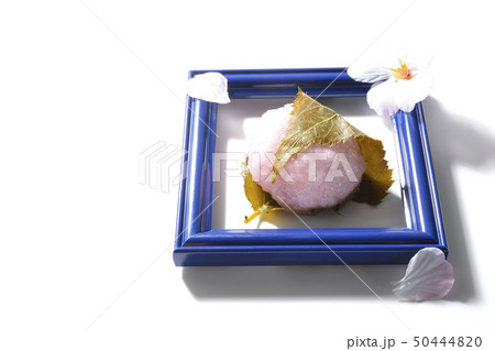 額の中の桜餅 50444820