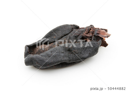 ガルシニア・インディカ　コカム　クカム: Garcinia (Garcinia indica) 50444882