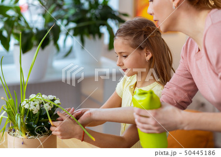 Teacher and schoolgirl taking care of flowers at ecology lesson Teacher and schoolgirl taking care of flowers at ecology lesson 50445186