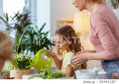 Girl holding watering pot while taking care of plant near teacher 50445187