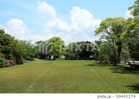 上総湊港海浜公園（富津市） 50445274