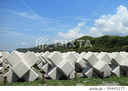 消波ブロック置き場(富津市) 消波ブロック置き場(富津市) 50445277