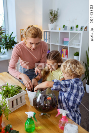 Boy and girl potting plants together with teacher at botany lesson Boy and girl potting plants together with teacher at botany lesson 50445302