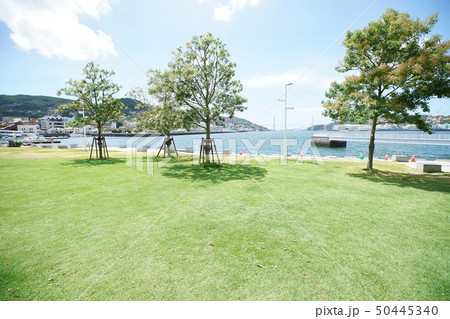 水辺の森公園 水辺の森公園 50445340