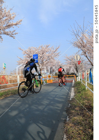 つくば霞ヶ浦りんりんロード 50445845