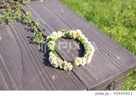 シロツメクサの花の冠の写真素材