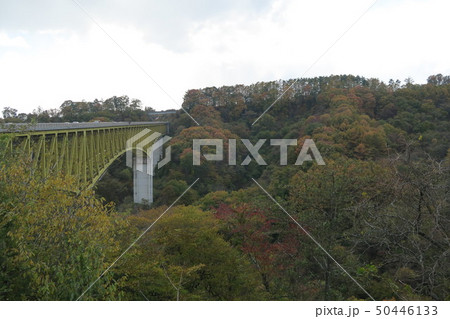 八ヶ岳高原大橋 50446133