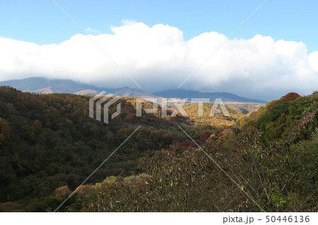 八ヶ岳高原大橋からの景色 八ヶ岳高原大橋からの景色 50446136