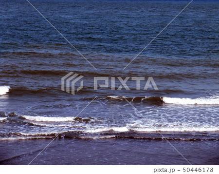 海景 シーパラダイス 海風景 50446178