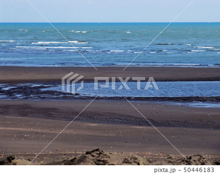 海景 シーパラダイス 海風景 50446183