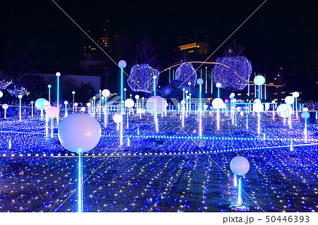 東京ミッドタウンのイルミネーション 50446393
