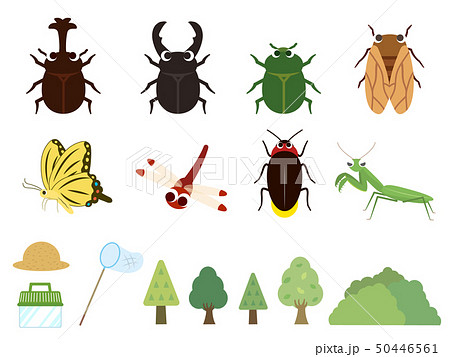 かわいい夏の昆虫イラスト素材集のイラスト素材