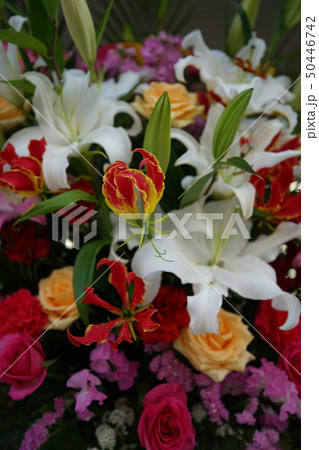 百合と薔薇 百合と薔薇 50446742