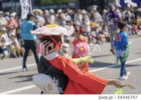 博多どんたく 博多どんたく 50446747