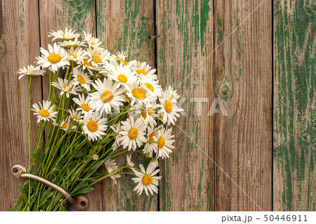 Bouquet field chamomile flowers in door handle on old wooden background. Concept rustic romantic Bouquet field chamomile flowers in door handle on old wooden background. Concept rustic romantic 50446911