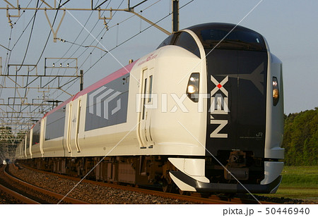 特急成田エクスプレス(N'EX・E259系) 総武本線:物井~佐倉 特急成田エクスプレス(N'EX・E259系) 総武本線:物井~佐倉 50446940