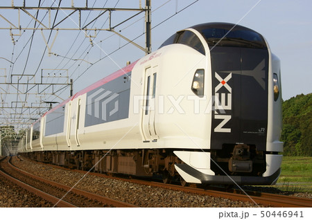 12両編成で新宿・横浜へ向かう特急成田エクスプレス 50446941