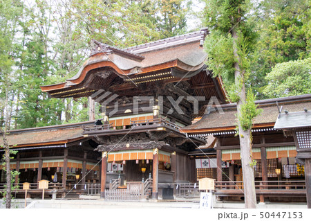 長野県　諏訪大社下社　秋宮　幣拝殿 50447153