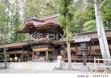 長野県　諏訪大社下社　秋宮　幣拝殿 50447154