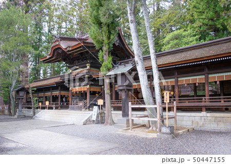 長野県 諏訪大社下社 秋宮 幣拝殿 長野県 諏訪大社下社 秋宮 幣拝殿 50447155