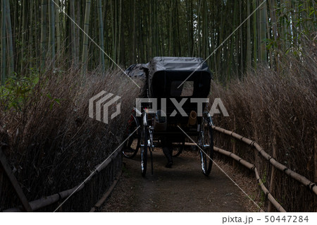 京都嵯峨野に吹く風 京都嵯峨野に吹く風 50447284