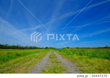 利根河原の風景 利根河原の風景 50447370