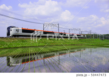 田植え始まる総武本線沿線　～成田エクスプレス～ 50447473