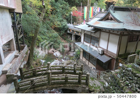 犬鳴山七宝瀧寺 50447800