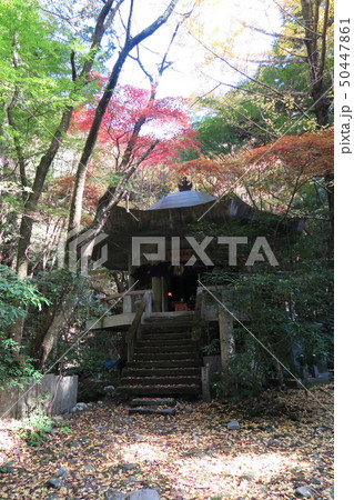 虚空蔵菩薩殿 50447861