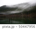御岳自然湖 50447956