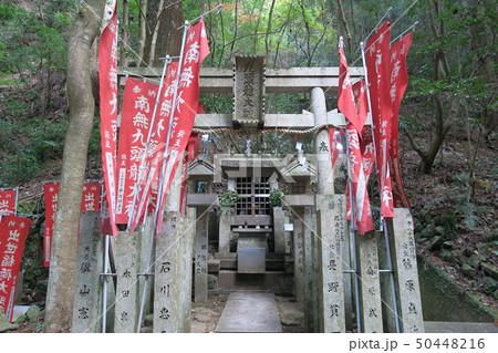 九頭龍大神 50448216