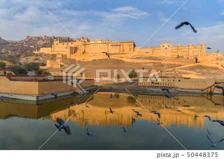 Amber fort and palace in Maotha Lake. Jaipur. Amber fort and palace in Maotha Lake. Jaipur. 50448375