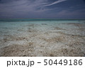 干潮の寺崎海岸 50449186