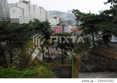 城北区 路地 住宅 50449262