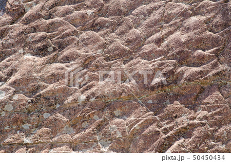 宍喰浦の化石漣痕 宍喰浦の化石漣痕 50450434