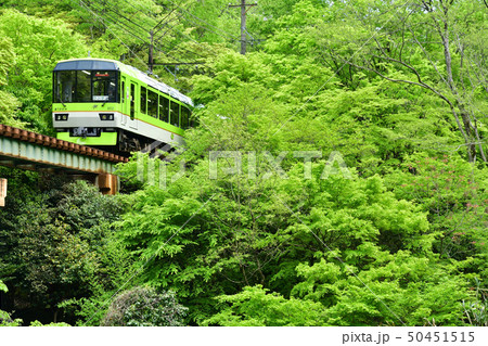 新緑の中の走る『青もみじきらら』 新緑の中の走る『青もみじきらら』 50451515