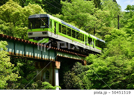 新緑の中の走る『青もみじきらら』 50451519