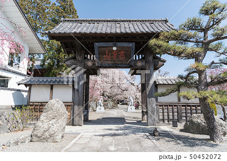 妙了寺・総門 妙了寺・総門 50452072