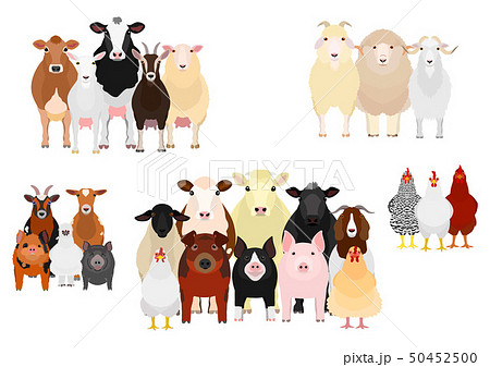 家畜のグループ 目的別のイラスト素材