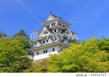 【岐阜県】新緑の郡上八幡城 【岐阜県】新緑の郡上八幡城 50452727