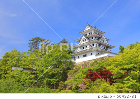 【岐阜県】新緑の郡上八幡城 【岐阜県】新緑の郡上八幡城 50452731