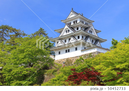 【岐阜県】新緑の郡上八幡城 【岐阜県】新緑の郡上八幡城 50452733